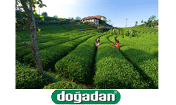 Do�adan �ay